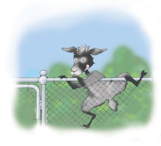 The Ruminant Romp Image